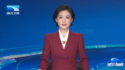 本台今晚9点10分推出湖北开放团组会议特别报道