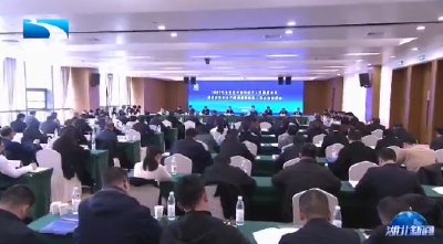 宁咏强调实施党外知识分子铸魂聚智强基工程  打造“惟楚有材·同心报国”品牌