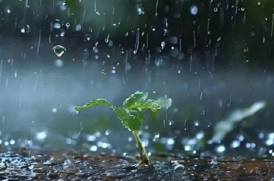 气温垮掉就是倒春寒？并非如此