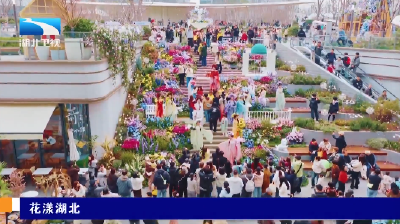 【湖北新闻】花漾湖北丨“赏花+”激发消费新活力
