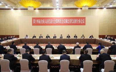 湖北代表团举行全体会议审议政府工作报告 肖捷铁凝王忠林李殿勋等作审议发言