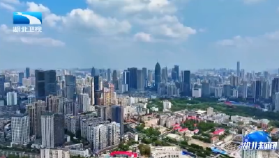 闪亮的足迹·湖北答卷丨全面起势 整体跃升 支点建设开新局