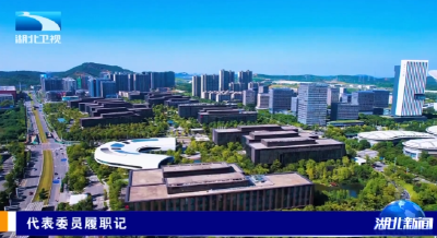 代表委员履职记 | 全国人大代表冯丹：建强数据存储产业链 筑牢AI时代数字底座