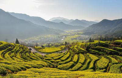 一路繁花向春行！从“赏花经济”看春日消费新图景 