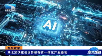 两会观察 | 湖北加快建设世界级存算一体化产业基地