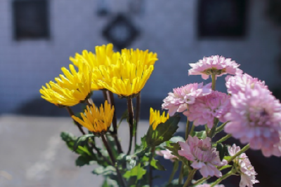 多部门联合印发通知 部署做好清明节祭扫工作