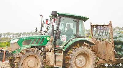 总书记这六问，湖北稳稳接住了！