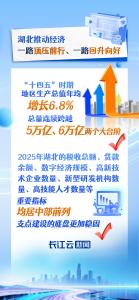 见证五个跃升，擘画五个支点