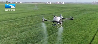 华中最大！湖北省农作物种质资源库建成运行