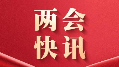 十四届全国人大四次会议将于今日上午10时举行民生主题记者会