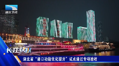 湖北省“港口功能优化提升”试点通过专项验收