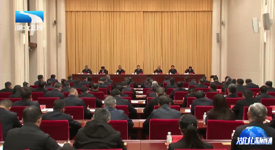 全省进一步深化政法队伍突出问题集中教育整治部署会议召开