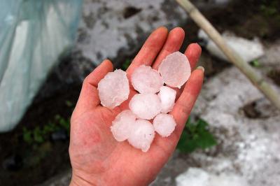 暴雨、雷暴大风、冰雹来袭 这些地区需警惕