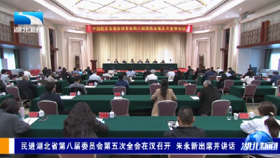 民进湖北省第八届委员会第五次全会在汉召开 朱永新出席并讲话