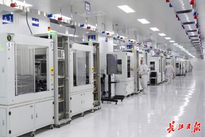 习近平总书记重要讲话激励振奋代表委员：不负厚望勇担当，干事创业谋新篇