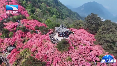 聚焦2026武汉文化旅游发展大会丨鄂了赣饭真湘！武汉、长沙、南昌结成“文旅合伙人”