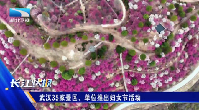 武汉35家景区、单位推出妇女节活动