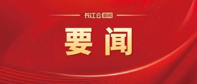 湖北代表团审议关于全国人大常委会工作报告的决议草案等