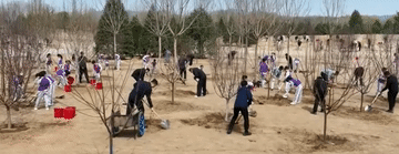 微视频｜总书记与春天的绿色约定