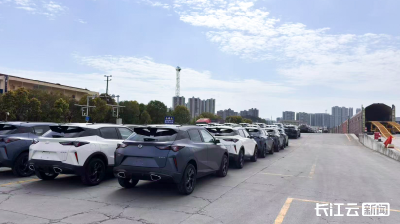 湖北“宜昌造”汽车铁海联运出口量创新高