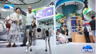 从“想象飞车”到“老字号出海” 湖北企业消博会秀出开放新姿态