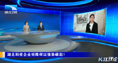 长江评论：湖北科技企业矩阵何以强势崛起？