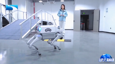 从卖产品到定国标 湖北人形机器人产业迎来关键突破