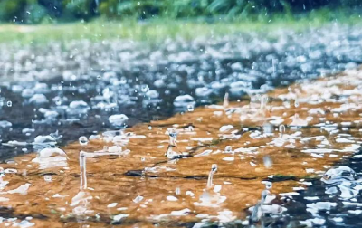 暴雨+强对流来了！湖北连发76条预警，请提前出门
