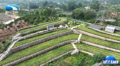 【湖北新闻】公益为本 服务为民 湖北殡葬改革守护民生底线