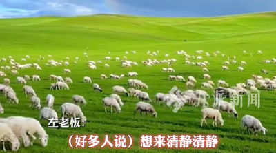 “月薪1.6万招放羊工”走红，老板最新发声→