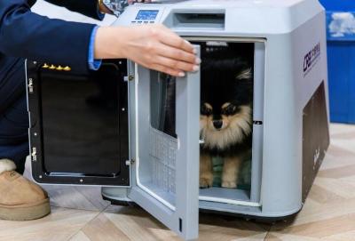 宠物能独自“坐”高铁吗？官方讲解来了！
