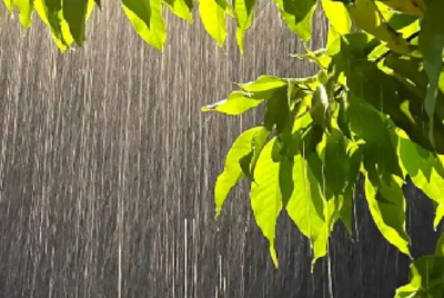 清明假期后雨带向北推进 江南多地最高温将超30℃