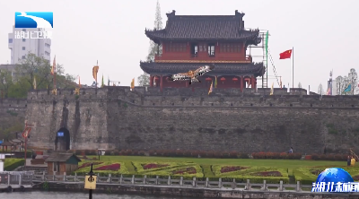 诗词里的清明 | 荆州：放飞“磨鹰”   传承千年楚韵