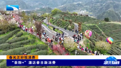 春光正好悦消费 | “茶旅+”激活春日新消费