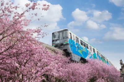 踏青出游警惕陌生人搭讪 国家安全部提醒→