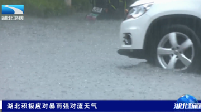 湖北积极应对暴雨强对流天气 | 暴雨冰雹叠加 各地全力排险保畅