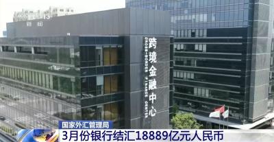 3月份银行结售汇数据公布 我国外汇市场总体平稳运行