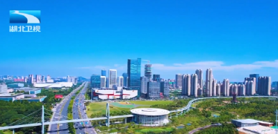 湖北四家光通信企业总市值突破5500亿