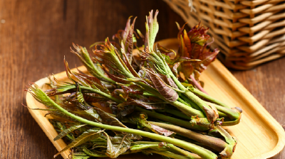 收藏！春日芽菜，这样吃健康又美味→