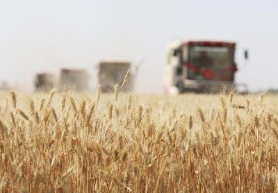 习近平总书记关于总体国家安全观重要论述的生动实践