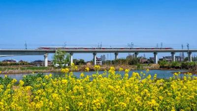 成功率超70% 官方候补购票攻略请查收