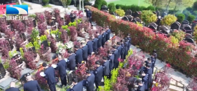 风和景明 | 清明祭英烈 精神永传承