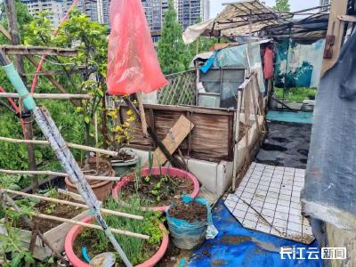 从“见面不打招呼”到“和睦相处” 这场楼顶清理行动让两户邻居冰释前嫌