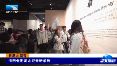 来湖北踏青 | 清明假期湖北迎来研学热