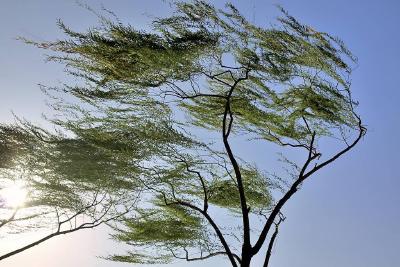 暴雨+大风+强对流来了！湖北连发28条预警，这些地方需注意防范