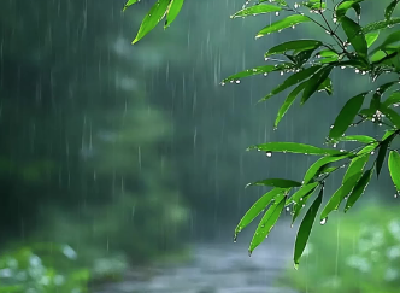 今日清明宜出行 明早湖北局部有雾，返程需防范