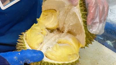 关于榴莲的消费提示