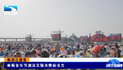 来湖北踏青 | 草莓音乐节激活文旅消费新活力