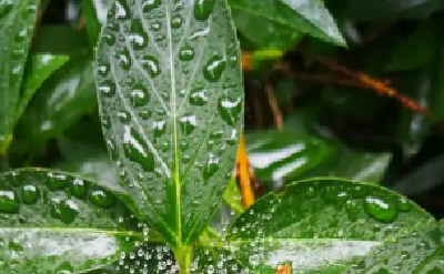 雨热渐盛 江河水满地图看小满时节哪里雨量最充沛