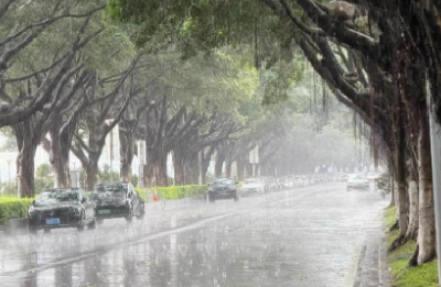 暴雨+10级大风！湖北明晚将迎新一轮大范围降雨